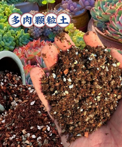 东北养花颗粒土