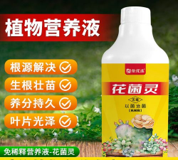 家庭养花用生根粉