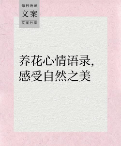 家庭养花用生根粉