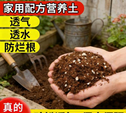 家庭养花用生根粉