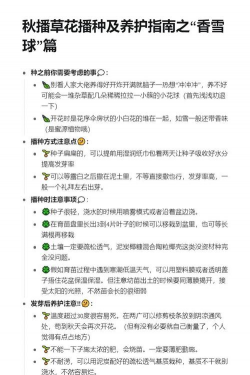 香雪球怎么种