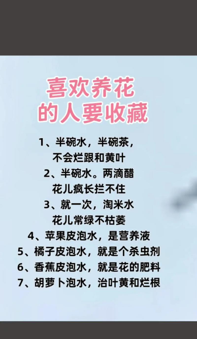 家庭养花用生根粉