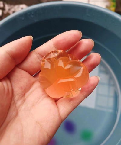 柿树虫病防治，识别常见虫害，掌握有效方法