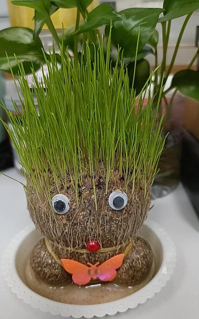 芍药花怎么养，掌握关键要点，花开更鲜艳