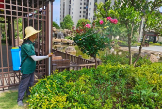 玫瑰花怎么养才不会枯萎，掌握浇水施肥技巧，轻松延长花期