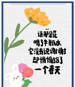 玫瑰花怎么养才不会枯萎，掌握浇水施肥技巧，轻松延长花期