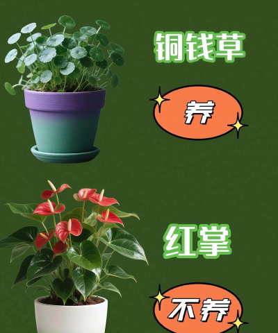 玫瑰花怎么养才不会枯萎，掌握浇水施肥技巧，轻松延长花期