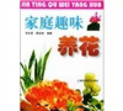 玫瑰花怎么养才不会枯萎，掌握浇水施肥技巧，轻松延长花期