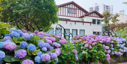 养花的绝佳地点