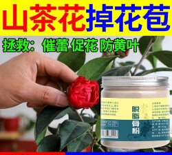 养花防黄叶骨粉