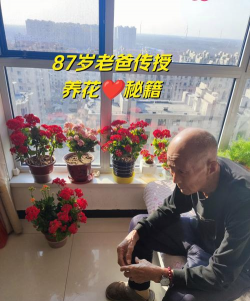 芍药花怎么养，掌握关键要点，花开更鲜艳