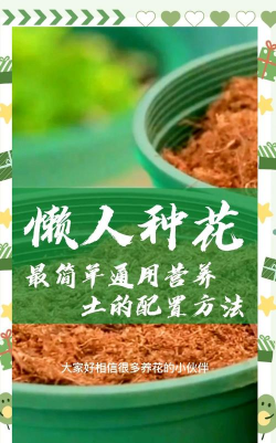 栽培的意思，核心概念，通俗理解