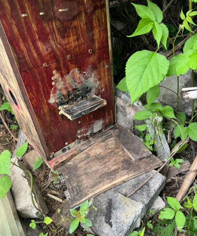 栽培的意思，核心概念，通俗理解