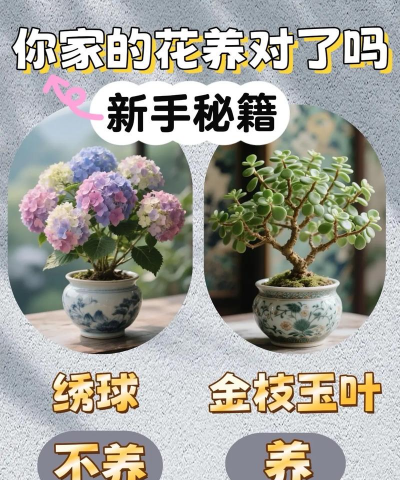 栽培的意思，核心概念，通俗理解