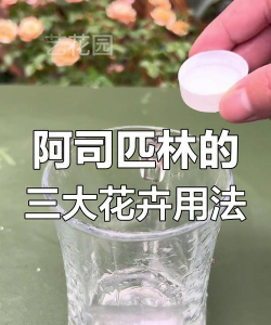 栽培的意思，核心概念，通俗理解