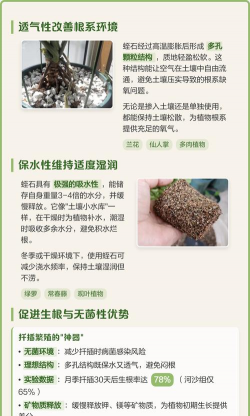 别墅园林绿化设计，打造私密空间，提升居住品质