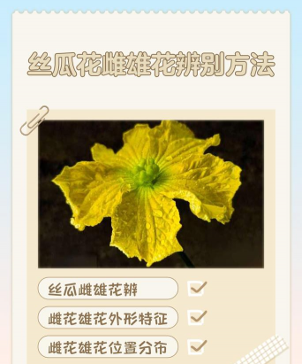 别墅园林绿化设计，打造私密空间，提升居住品质