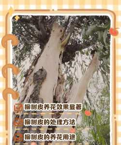 别墅园林绿化设计，打造私密空间，提升居住品质