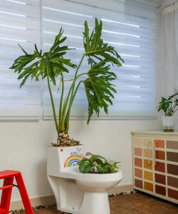 别墅园林绿化设计，打造私密空间，提升居住品质