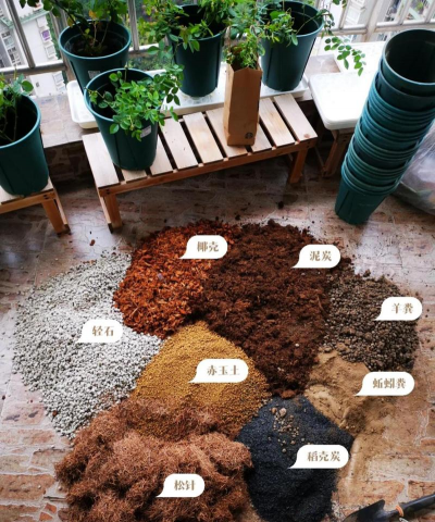 别墅园林绿化设计，打造私密空间，提升居住品质