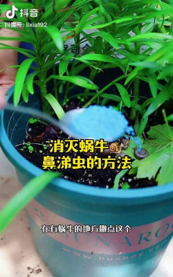 别墅园林绿化设计，打造私密空间，提升居住品质