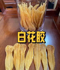 玫瑰花怎么养才不会枯萎，掌握浇水施肥技巧，轻松延长花期