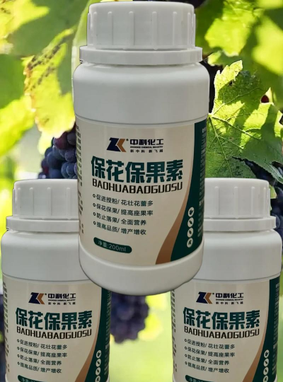 柿树虫病防治，识别常见虫害，掌握有效方法