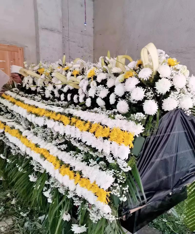 柿树虫病防治，识别常见虫害，掌握有效方法