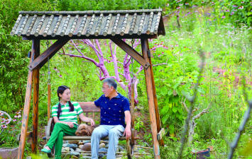 绿化景观设计，提升环境品质，创造宜人空间