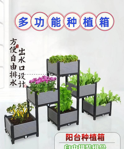 玫瑰花怎么养才不会枯萎，掌握浇水施肥技巧，轻松延长花期