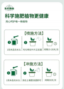庭院景观绿化设计，打造舒适空间，提升生活品质