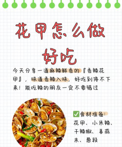 无土栽培技术，突破土壤限制，开启高效种植新篇章