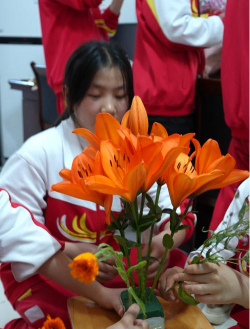 家庭养花用生根粉