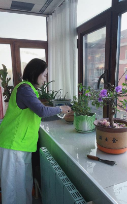 家庭养花用生根粉