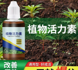 家庭养花用生根粉