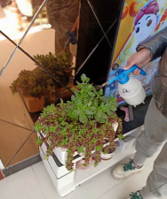 家庭养花用生根粉