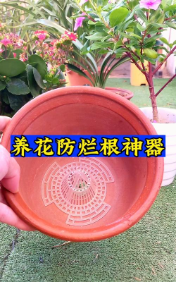养花埋药神器