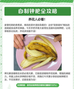 养花怎样自制钾肥