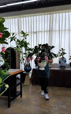 家庭养花用生根粉