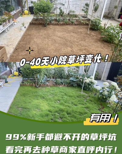 养花技巧草坪种植