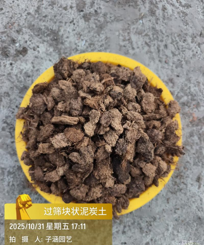块状泥炭土养花 块状泥炭土养花