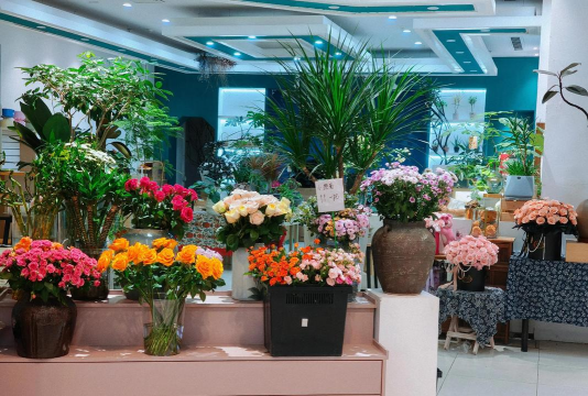 家庭养花用生根粉