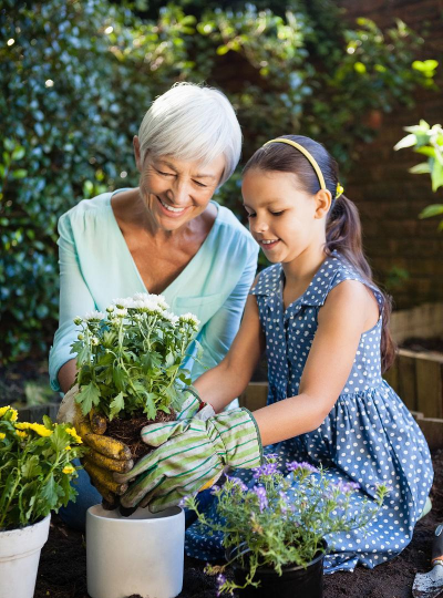 家庭养花用生根粉
