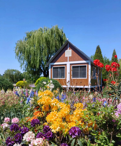 家庭养花用生根粉