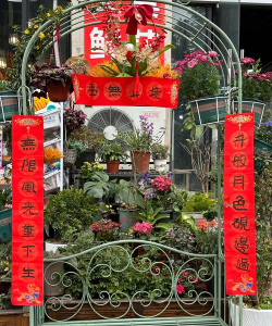 家庭养花用生根粉