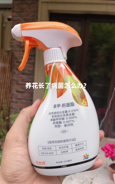 家庭养花用生根粉