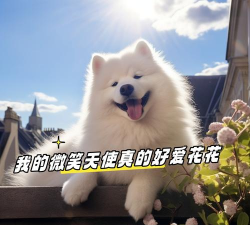 微笑天使爱养花