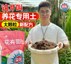 家庭养花用生根粉