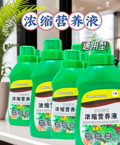 家庭养花用生根粉