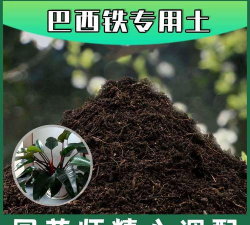 巴西铁用什么土